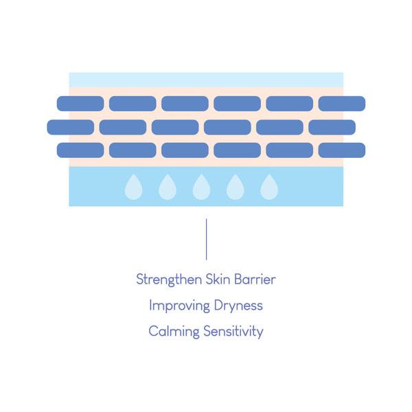 [Purito] Dermide Cica Barrier Sleeping Pack 80ml