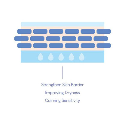 [Purito] Dermide Cica Barrier Sleeping Pack 80ml